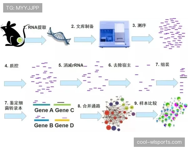 I组出线黑马专题观察