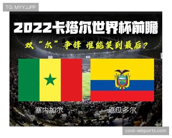 厄瓜多尔E组积分榜走势预测